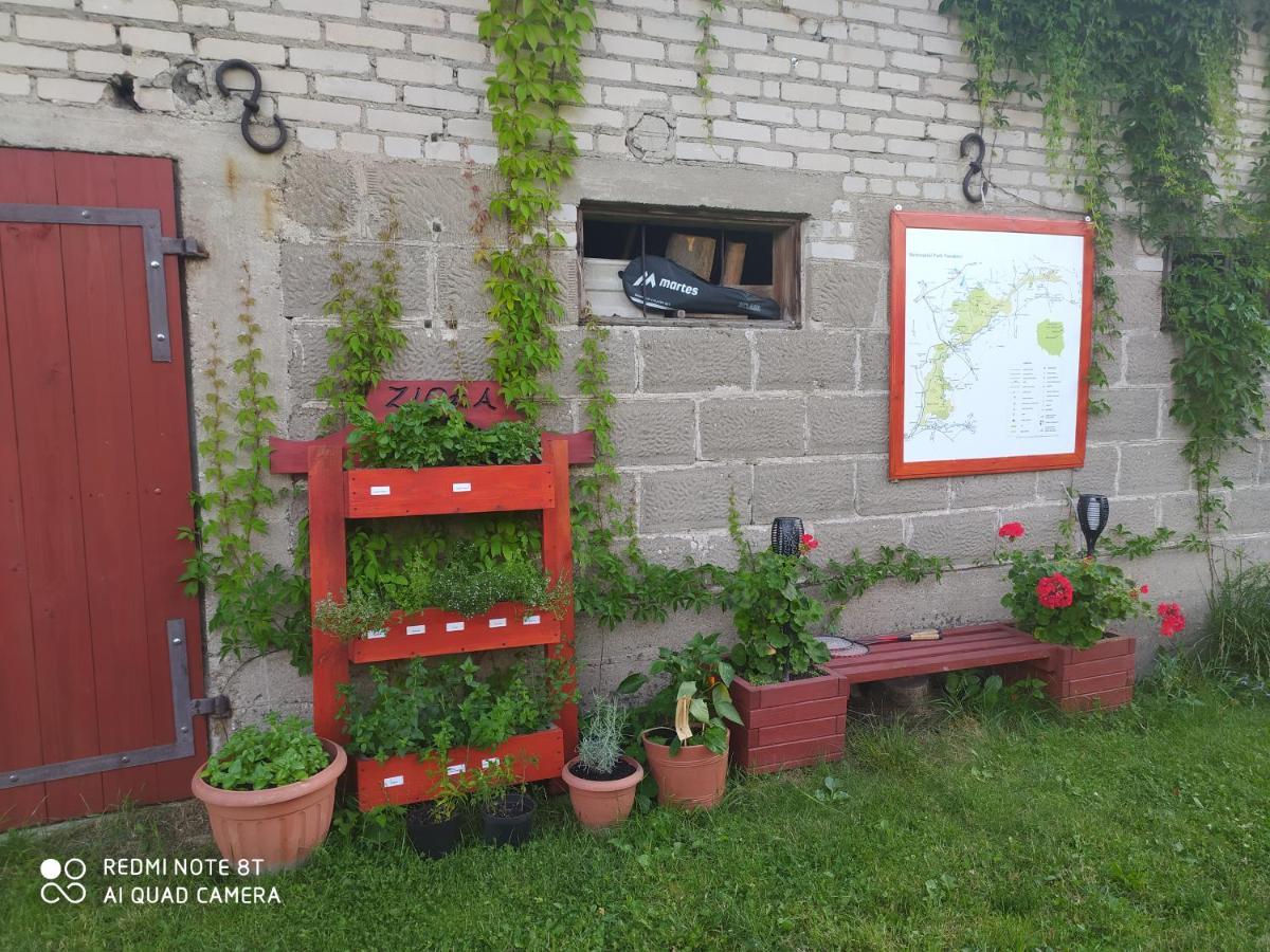 גוניאדז Dolistowka Apartamenty, Pole Namiotowe, Balia Z Jacuzzi, Ogrod Warzywny Dla Gosci, Plac Zabaw Dla Dzieci מראה חיצוני תמונה