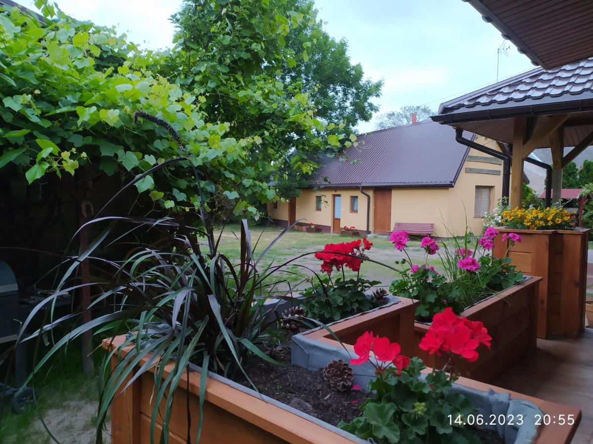 גוניאדז Dolistowka Apartamenty, Pole Namiotowe, Balia Z Jacuzzi, Ogrod Warzywny Dla Gosci, Plac Zabaw Dla Dzieci מראה חיצוני תמונה